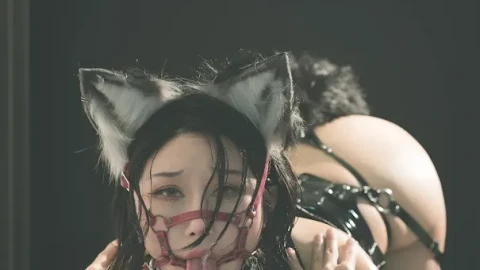 伤心动漫国产电影